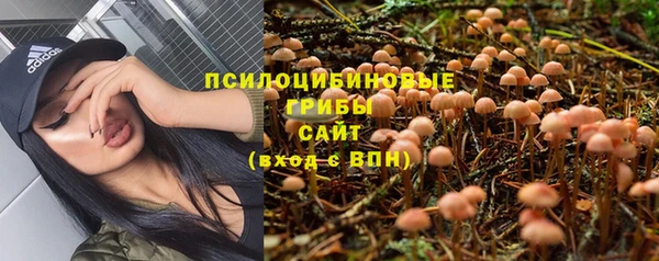 каннабис Новодвинск