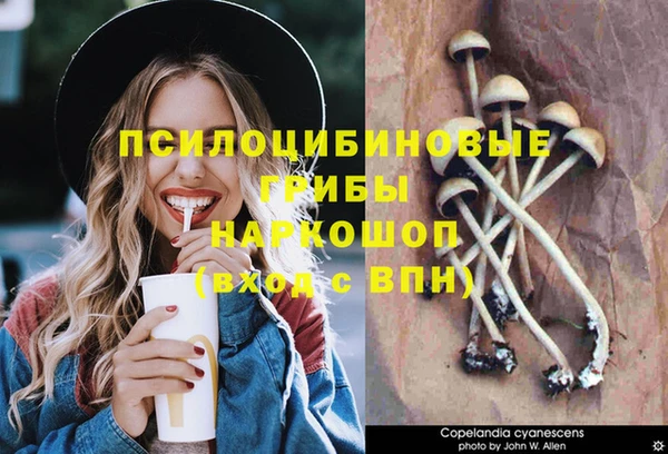 альфа пвп Новозыбков