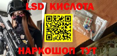 шишки Донской