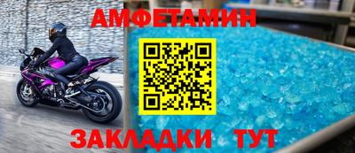 шишки Донской