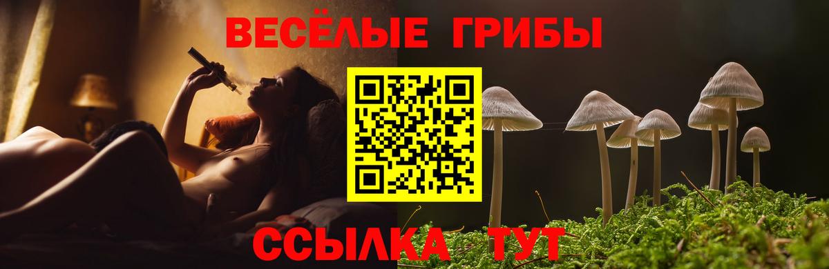 Галлюциногенные грибы Magic Shrooms Сарапул